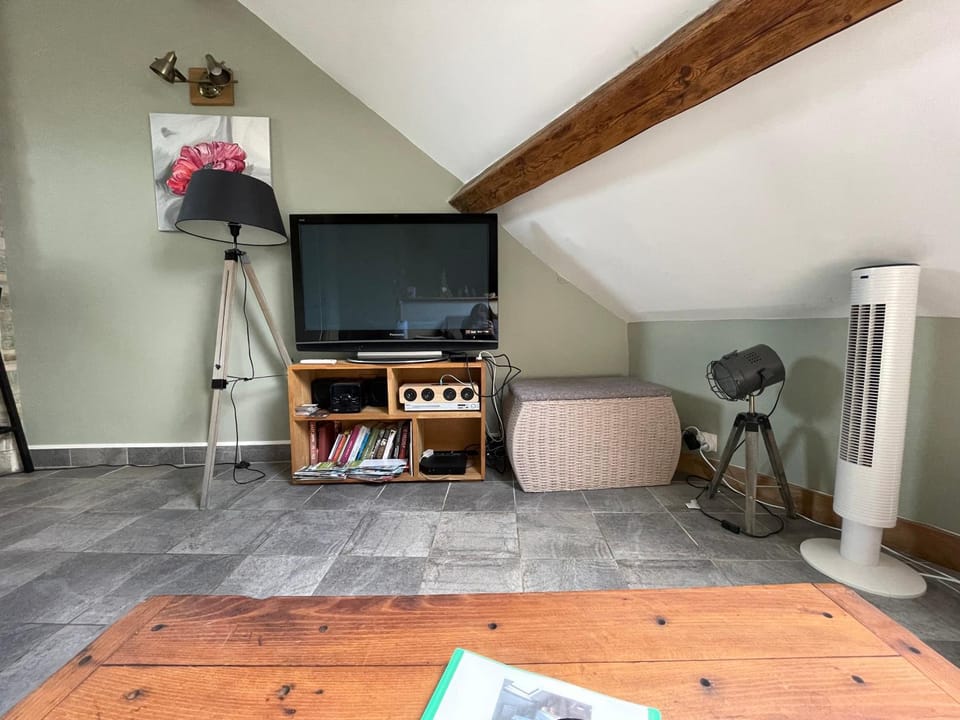 Communal lounge/ TV room, TV and multimedia