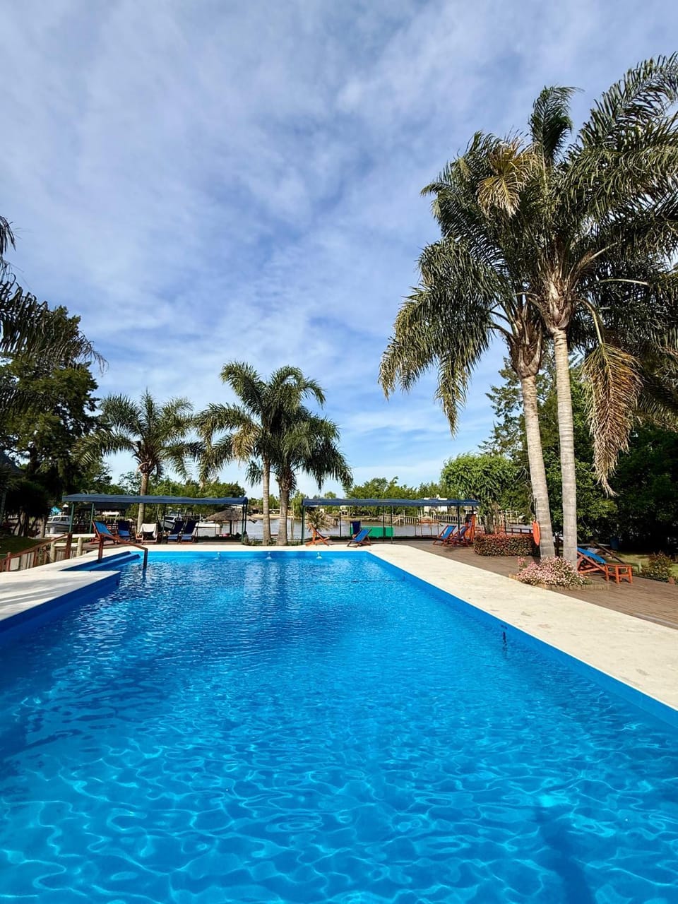 Day, Natural landscape, Pool view, Swimming pool, sunbed