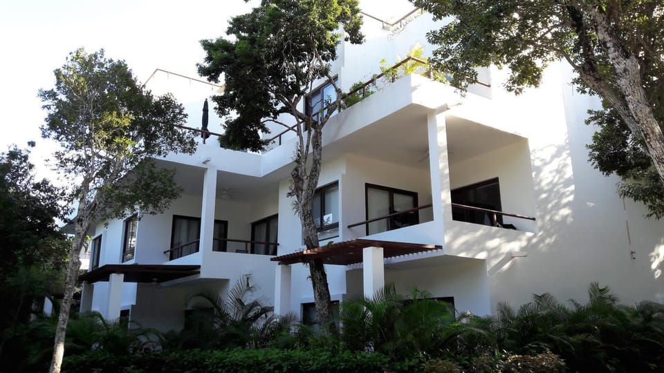 Property building, Facade/entrance