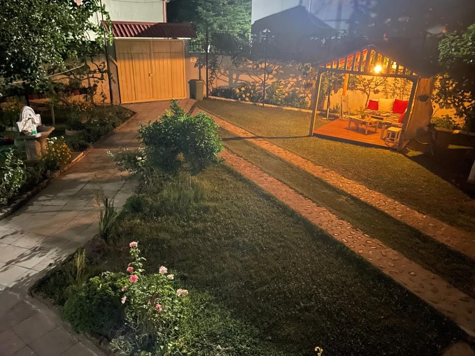 Night, Garden, Garden view