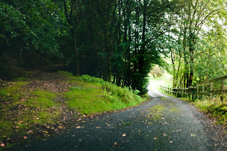 Facade/entrance, Natural landscape