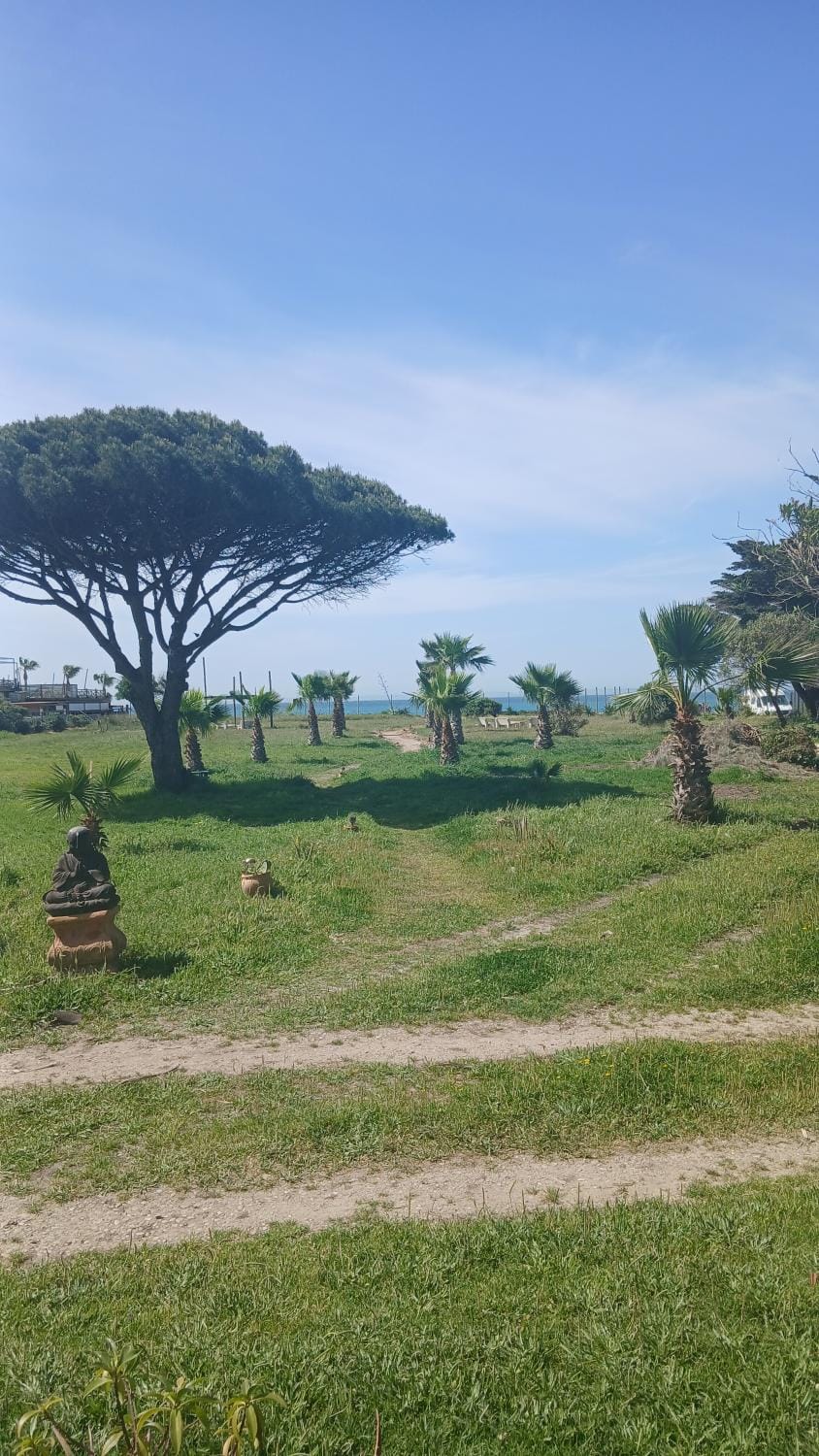 Garden, Sea view