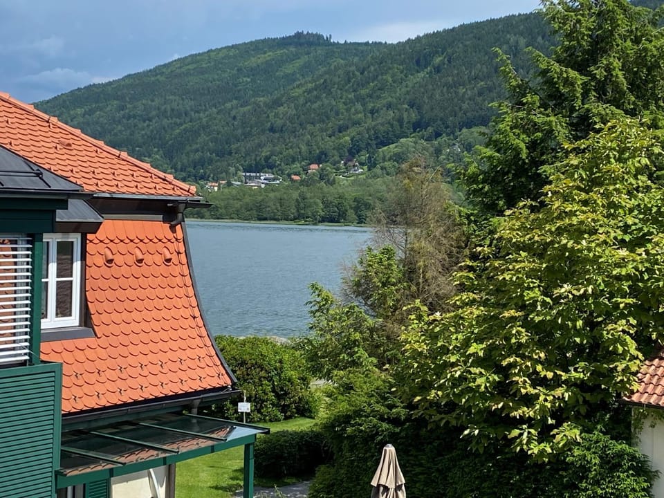 Lake view