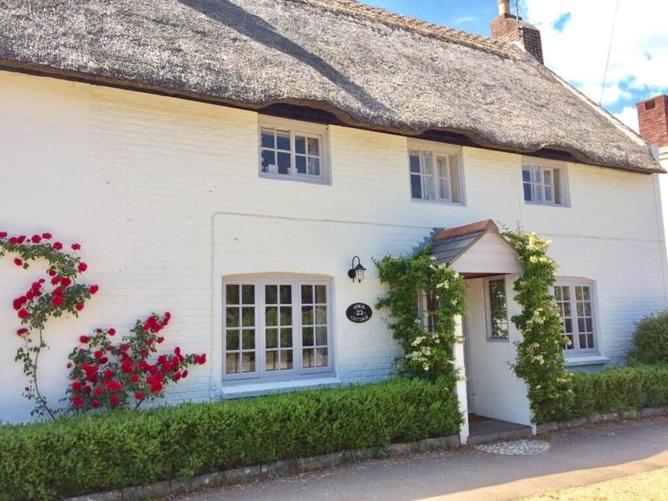 The Cottage Studio Bed and Breakfast in Wool