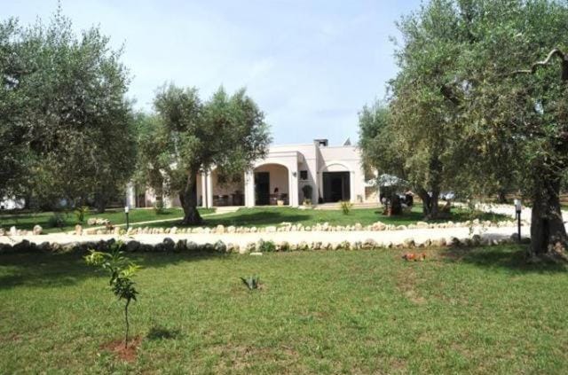 Property building, Day, Garden