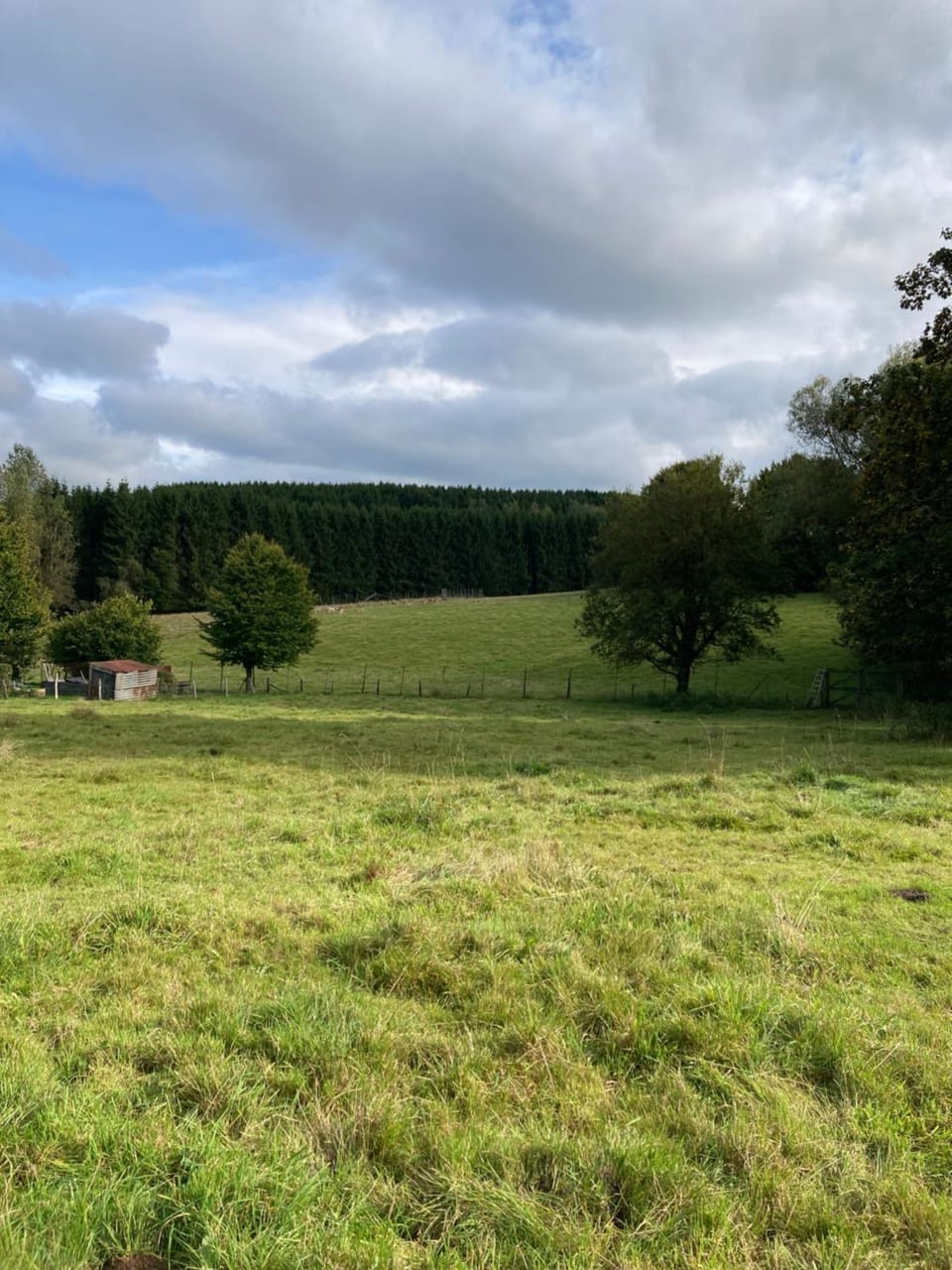 B&B Haus Jola Bed and Breakfast in Wallonia, Belgium