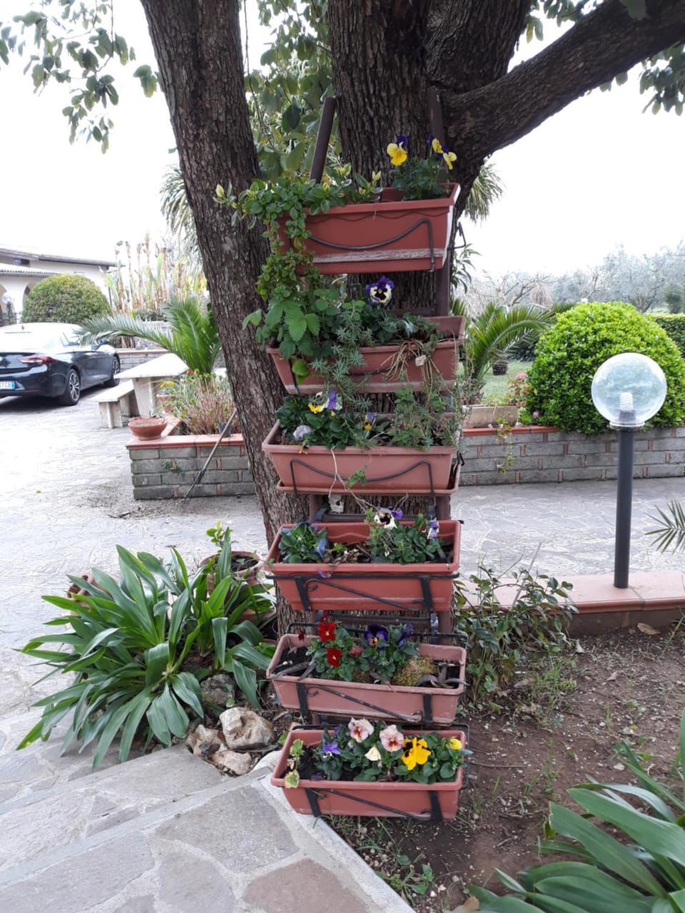 La Camelia B&B Bed and Breakfast in Lazio
