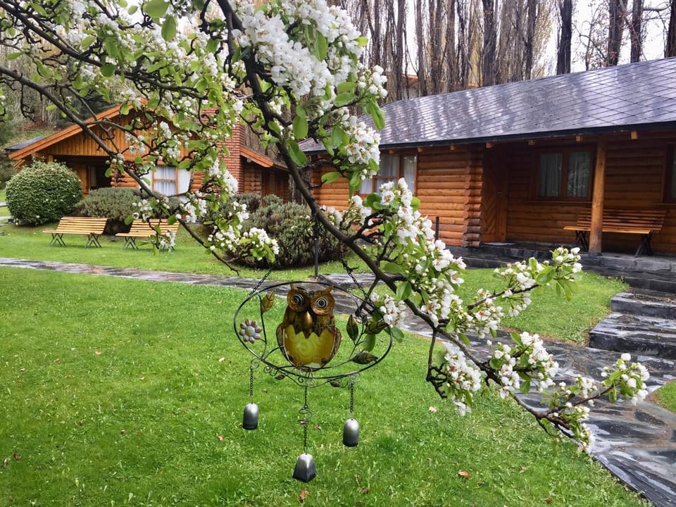 Spring, Garden