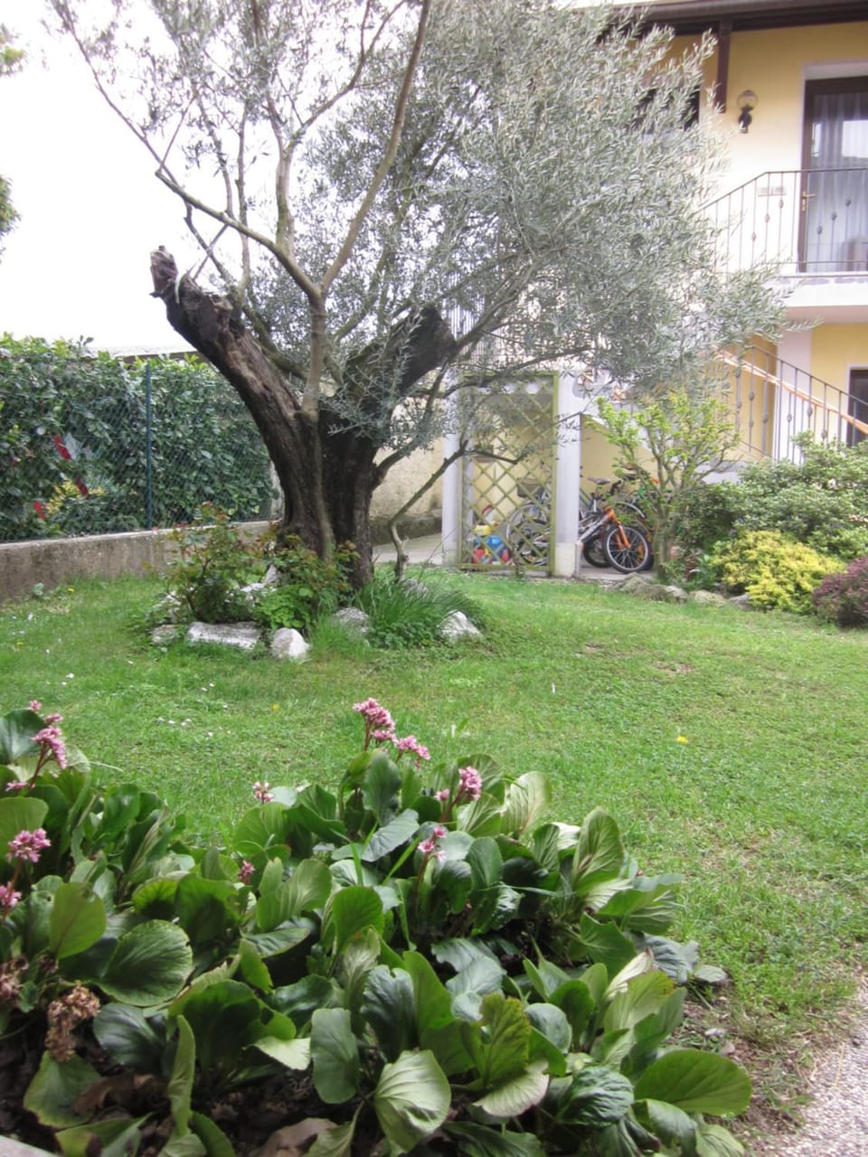 B&B NONO TILIO Bed and Breakfast in Friuli-Venezia Giulia