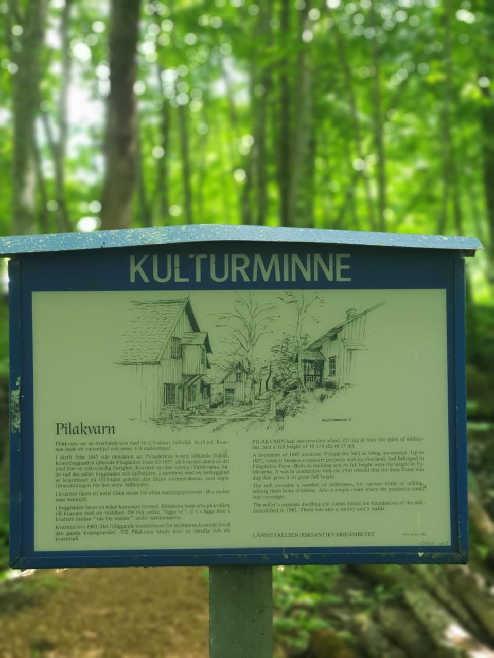 Logo/Certificate/Sign