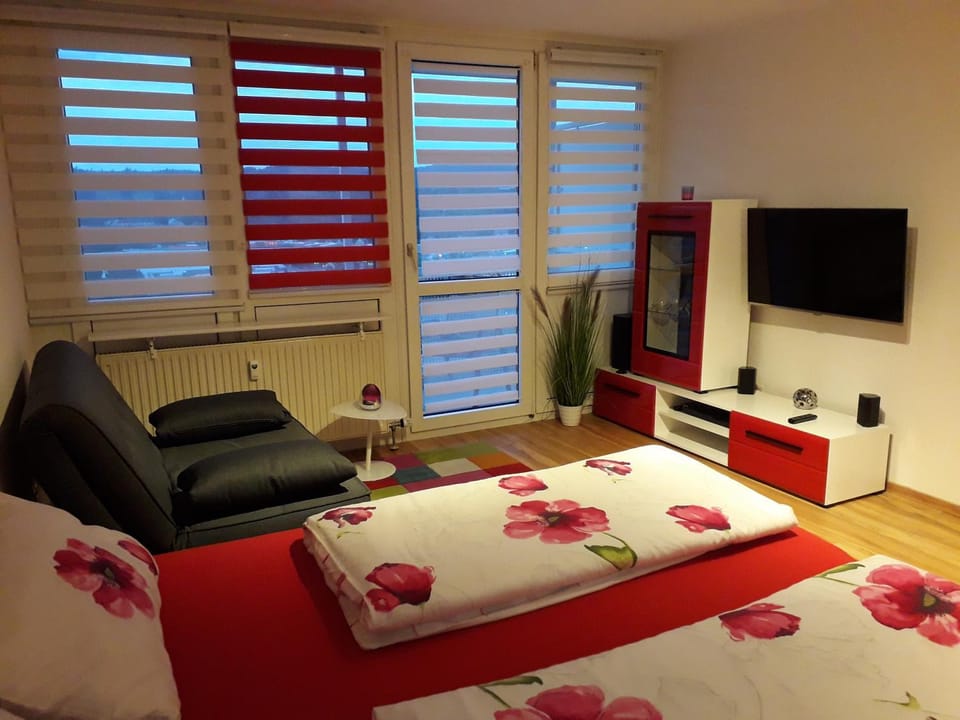 Apartment Lahr 50 Apartment in Lahr