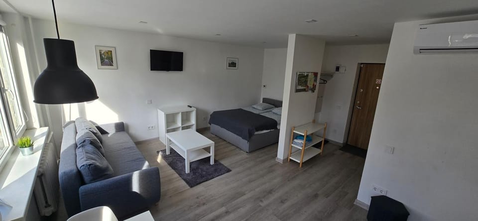 Bed, TV and multimedia, Living room, Photo of the whole room, Seating area, Bedroom, air conditioner