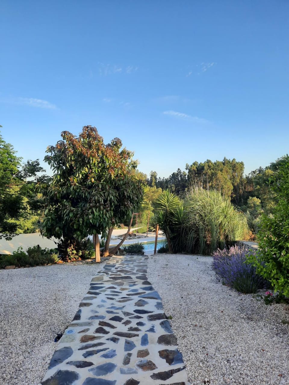 Natural landscape, Garden
