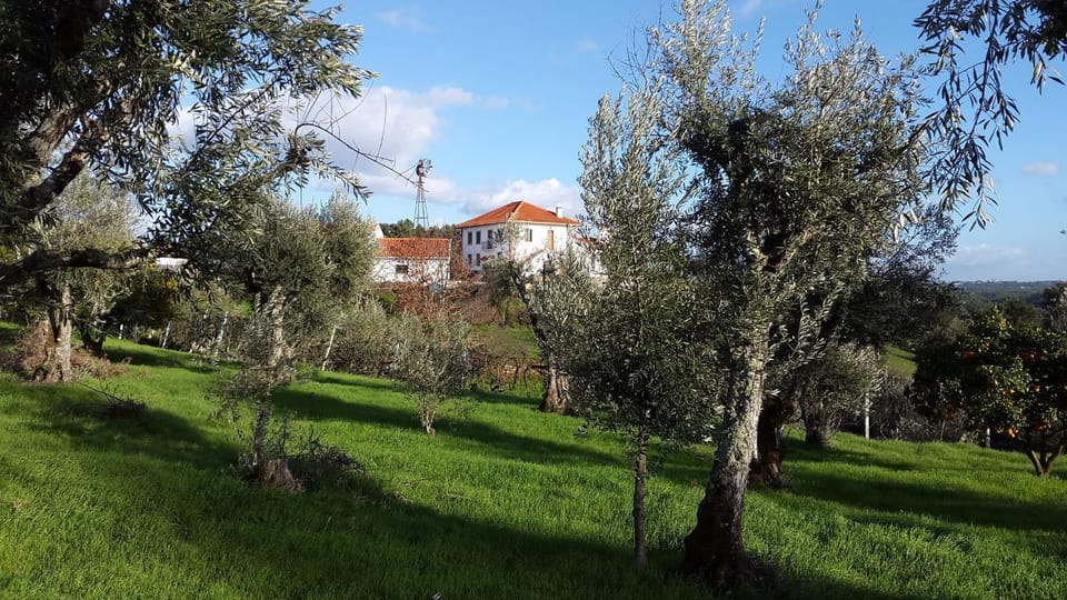 Property building, Natural landscape
