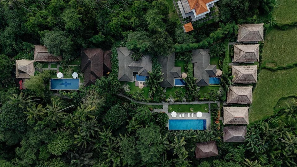 Property building, Day, Natural landscape, Bird's eye view, Pool view, Swimming pool