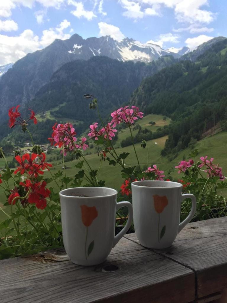 Haus Bergblick Apartment in Salzburgerland