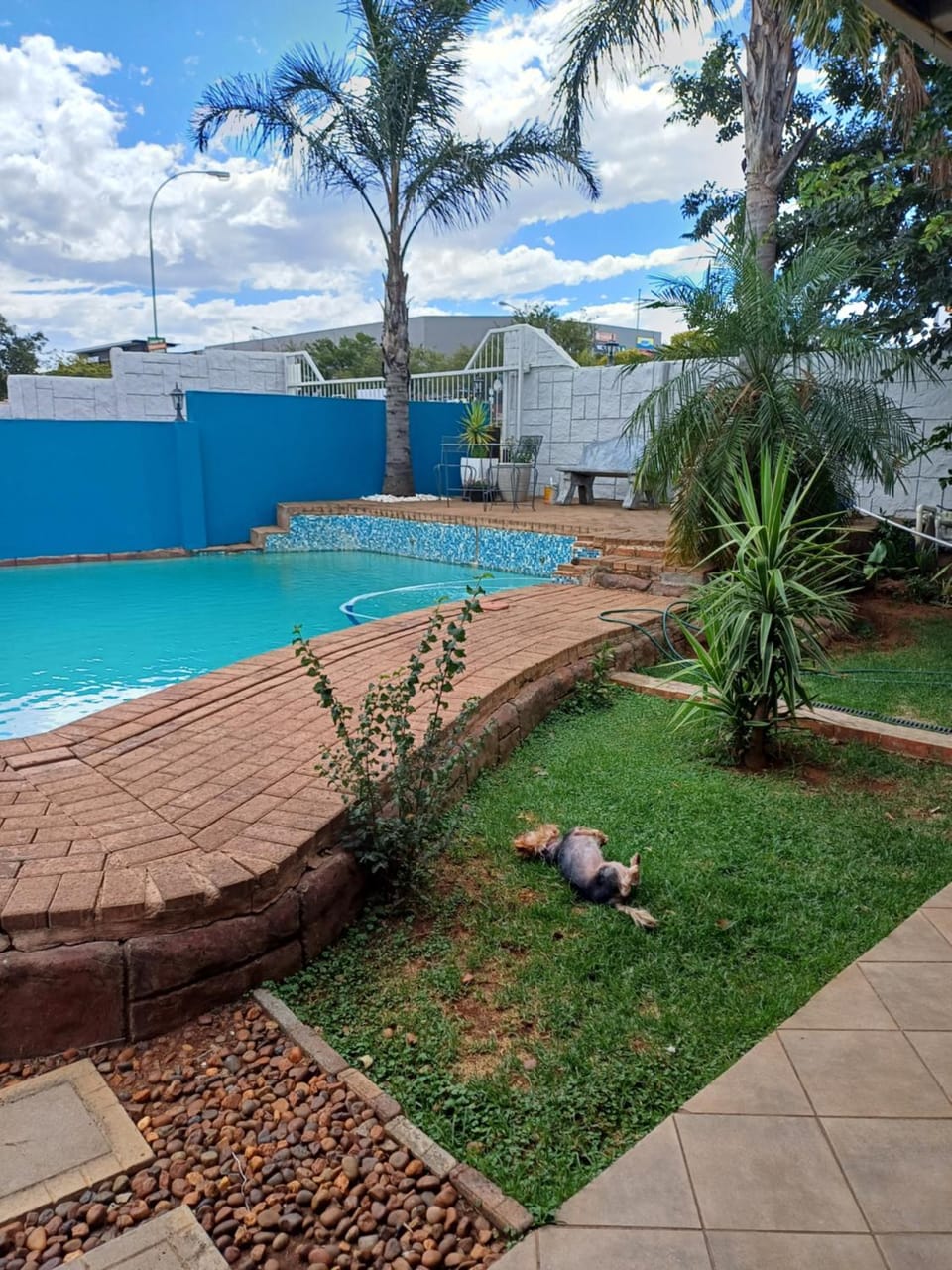Swimming pool