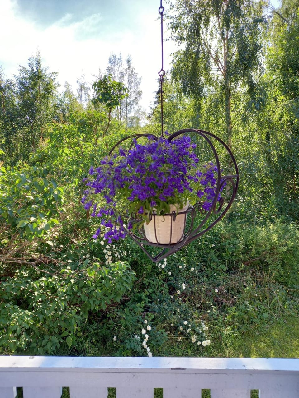 Bärvallen 388 Nature lodge in Sweden