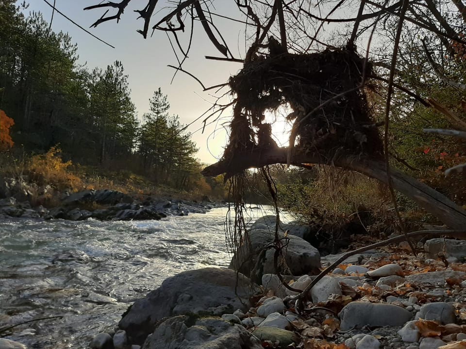 Natural landscape