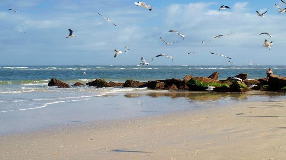 Spring, Natural landscape, Winter, Summer, Beach, Beach, Autumn, Sea view, Sea view, Location, Family