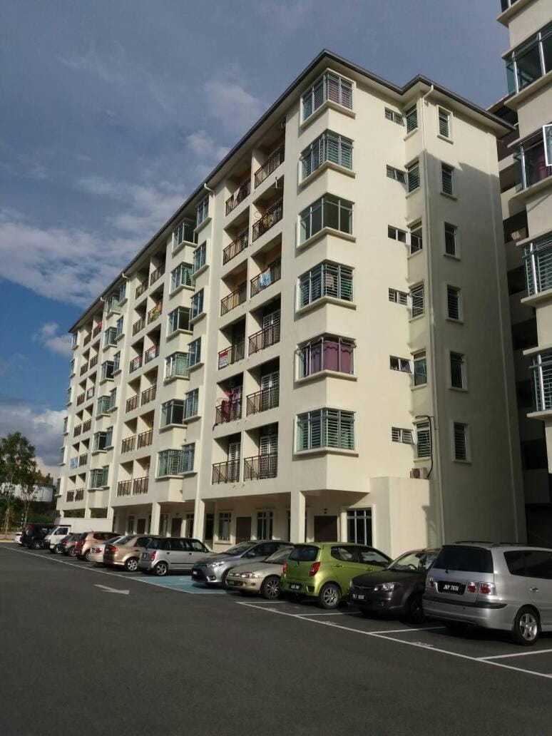 Property building, Day