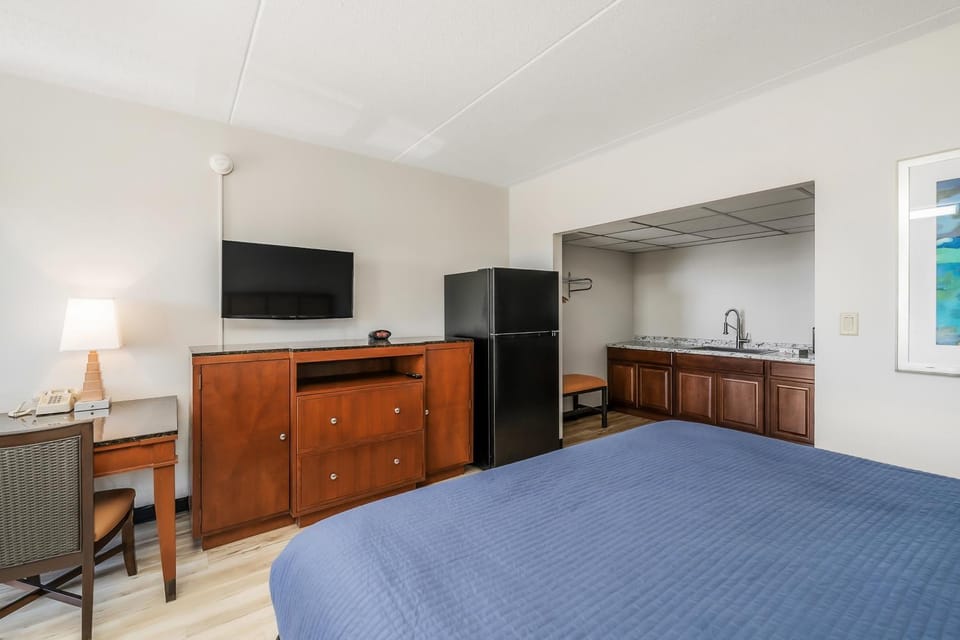 Bed, TV and multimedia, Kitchen or kitchenette, Photo of the whole room, hair dresser, minibar