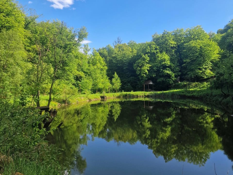 Nearby landmark, Natural landscape, Summer, Lake view