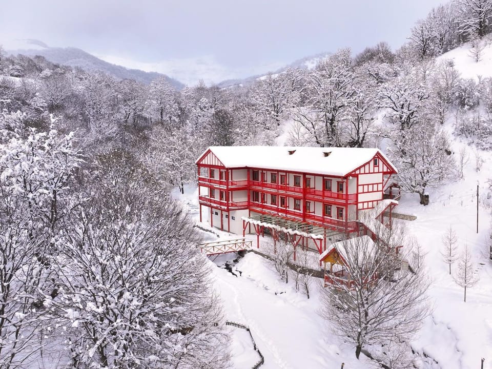Property building, Restaurant/places to eat, Natural landscape, Winter, Breakfast, Location