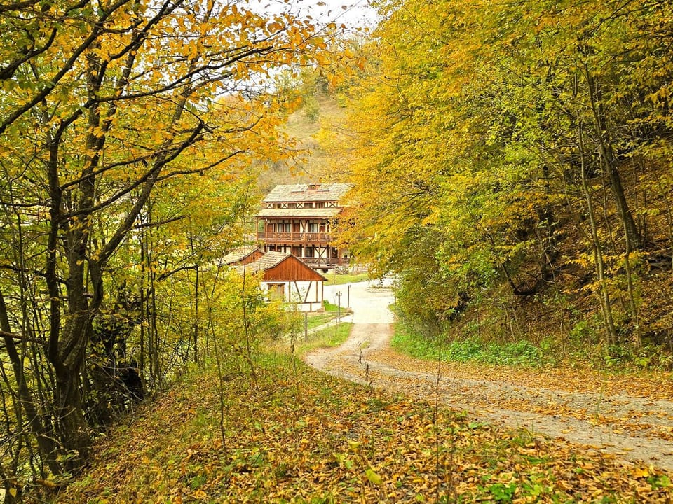 Property building, Natural landscape, Autumn