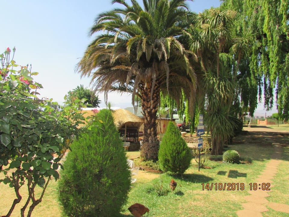 Aloes Lodge Bed and Breakfast in Africa