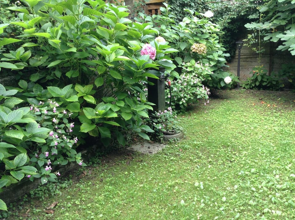 Appartamento Guccio Apartment in Trentino-South Tyrol