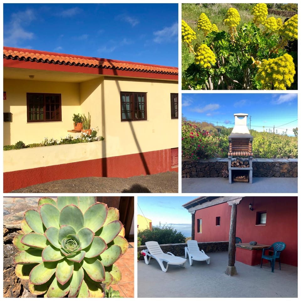 Facade/entrance, Decorative detail