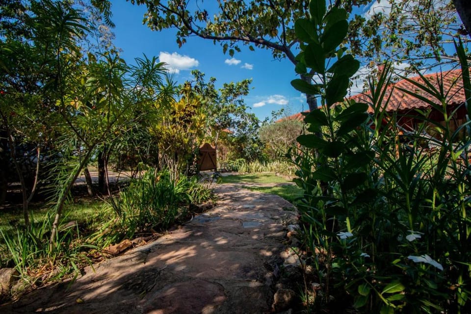 Natural landscape, Garden view