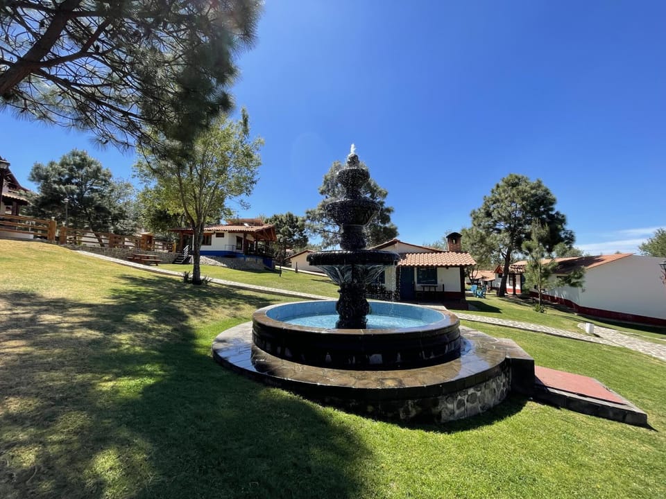 Day, Natural landscape, Garden, Garden view