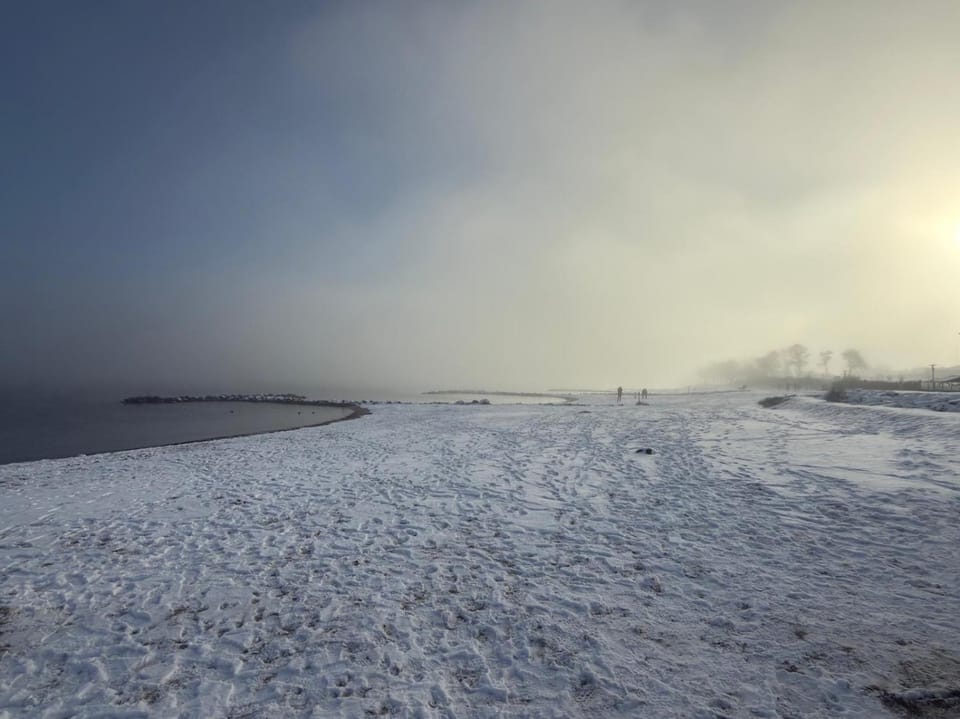 Winter