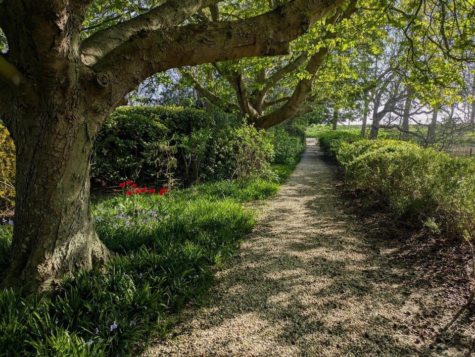 Natural landscape, Garden