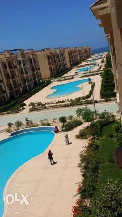 Property building, Swimming pool, Swimming pool
