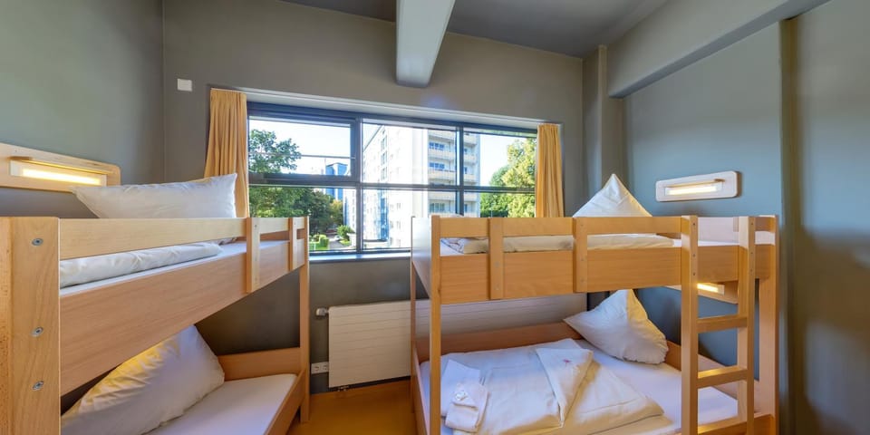 Bed, Photo of the whole room, Bedroom, bunk bed