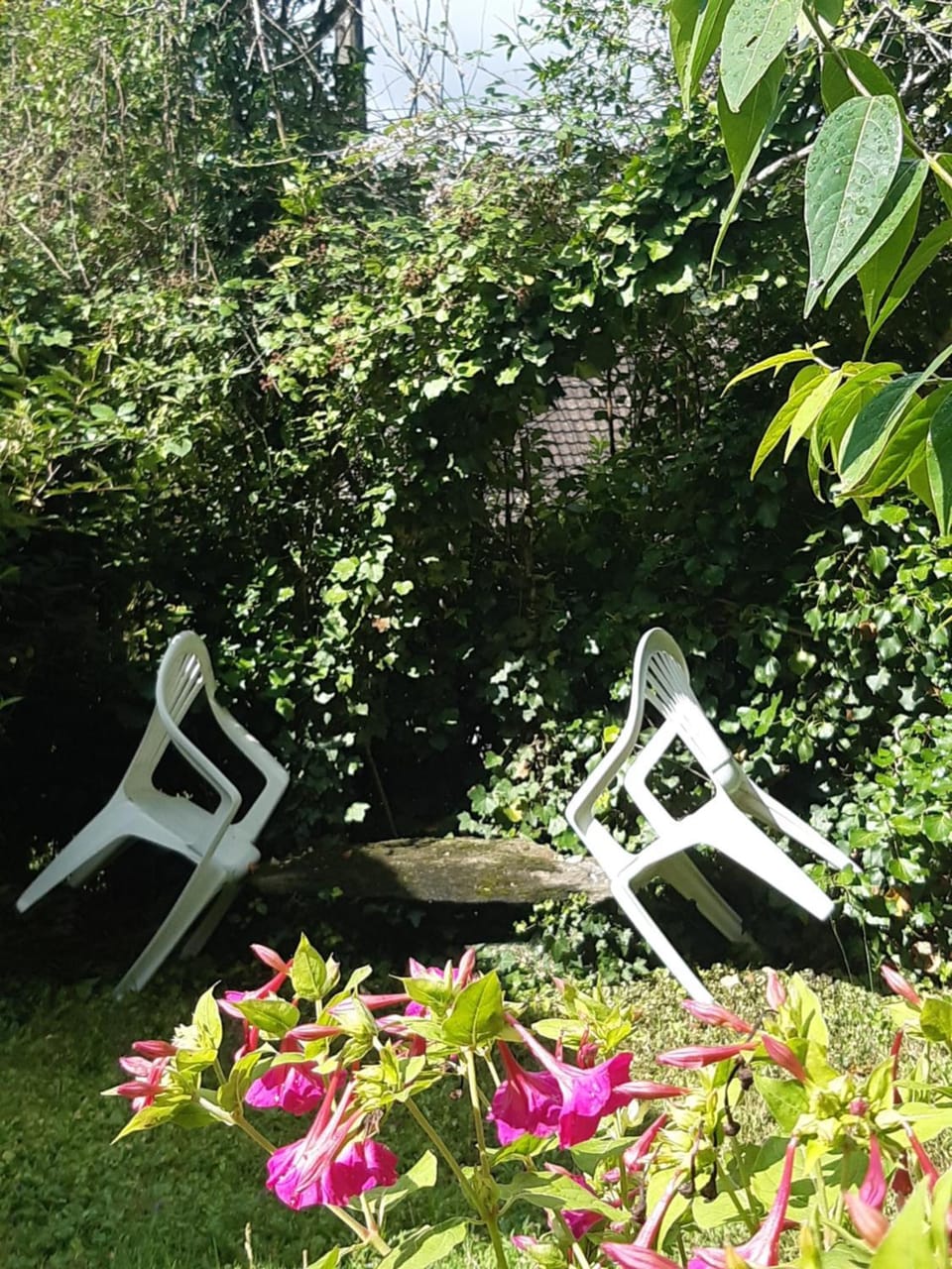 Chez Claire Bed and Breakfast in Occitanie