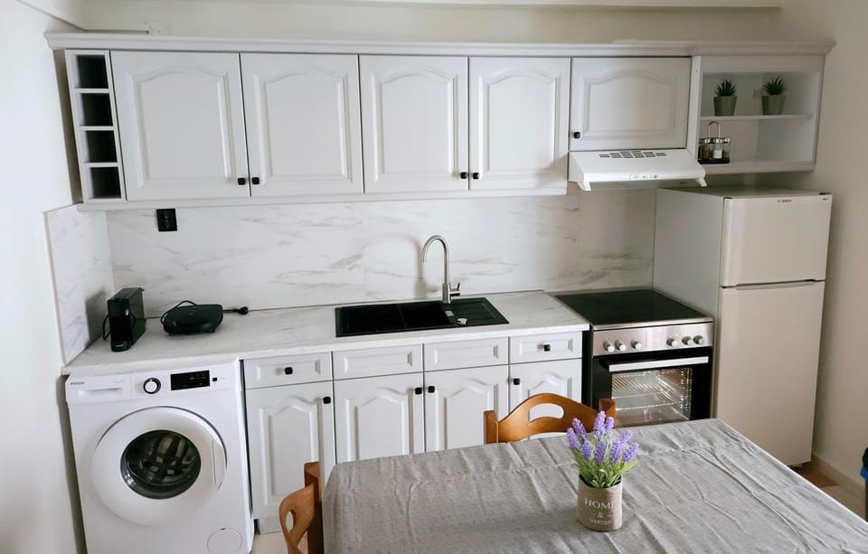 Kitchen or kitchenette, pet friendly, washing machine