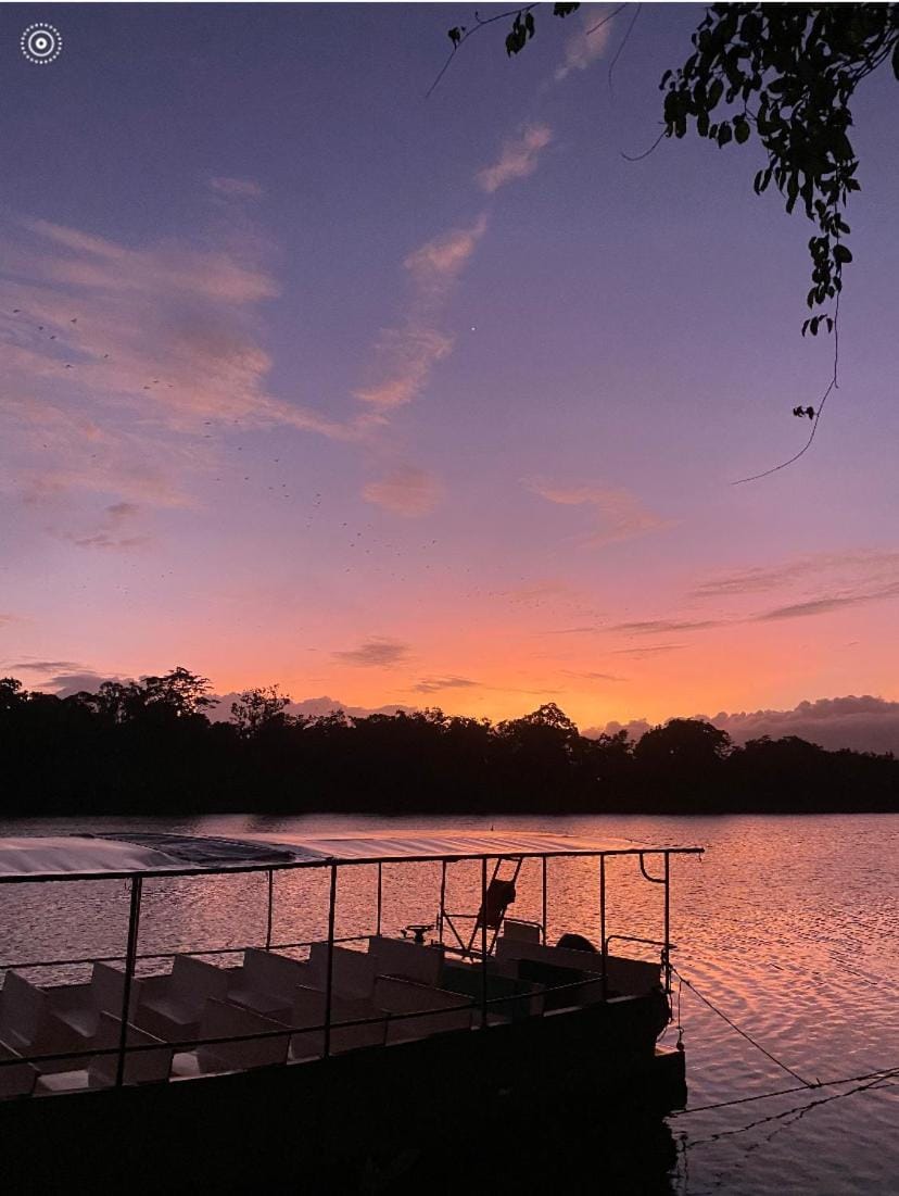 Egrets Rest House in Daintree