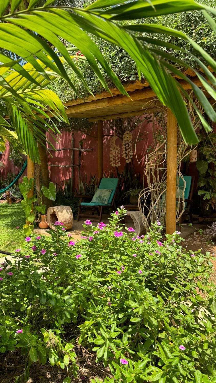 Spring, Day, Garden
