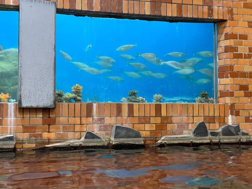 Hot Spring Bath, Public Bath