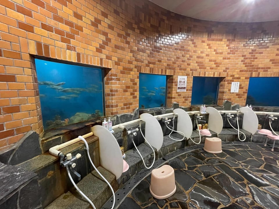 Hot Spring Bath, Public Bath