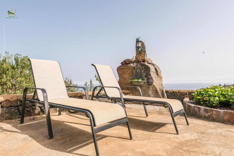 Patio, Natural landscape, sunbed