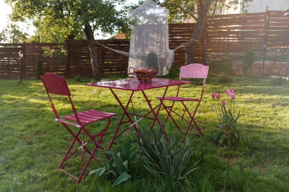 Villa Rose House in Serbia