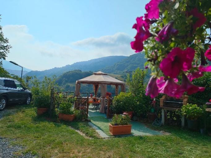 Natural landscape, Garden, Balcony/Terrace, Mountain view