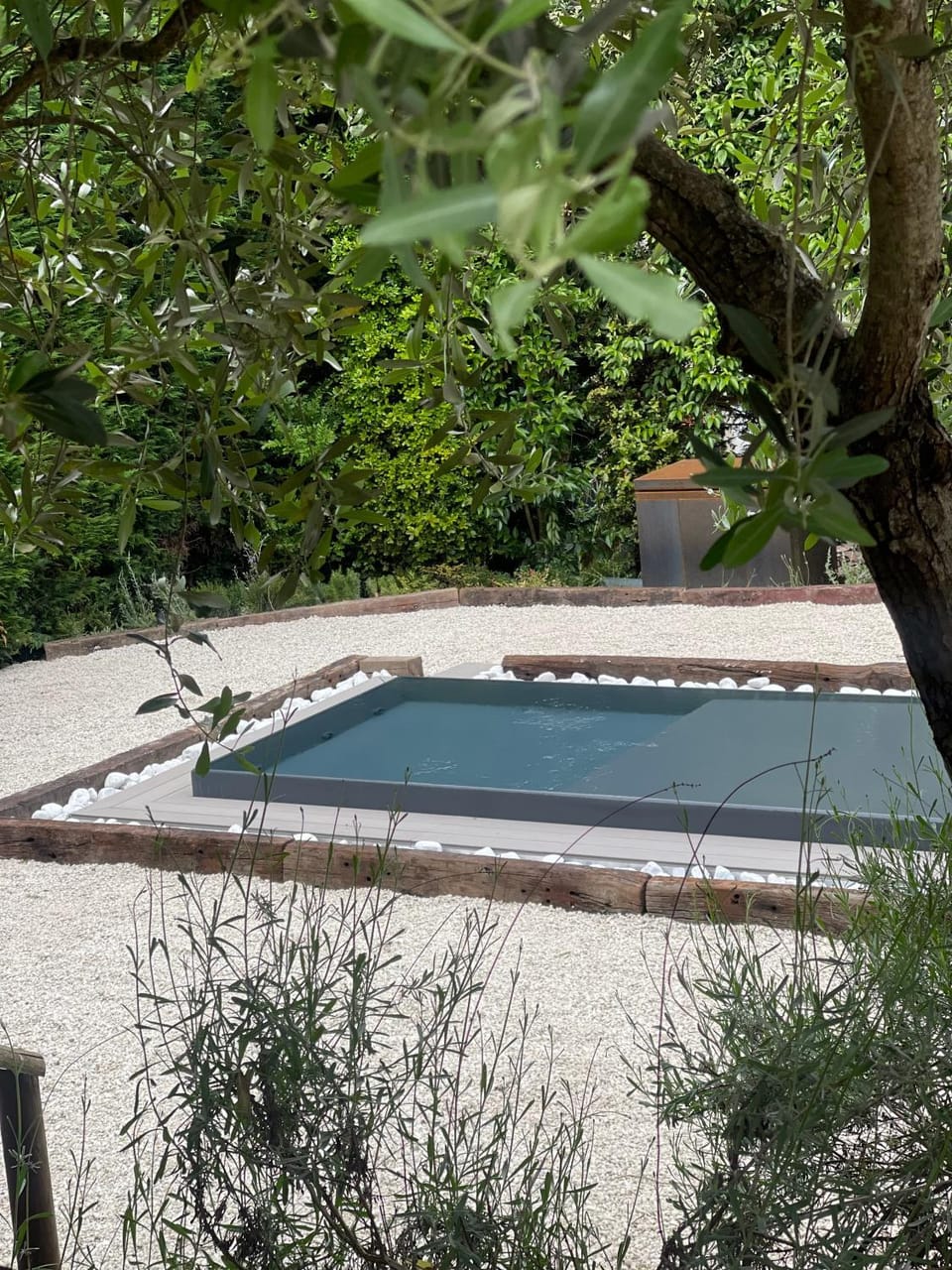 Garden, Pool view, Swimming pool, Swimming pool