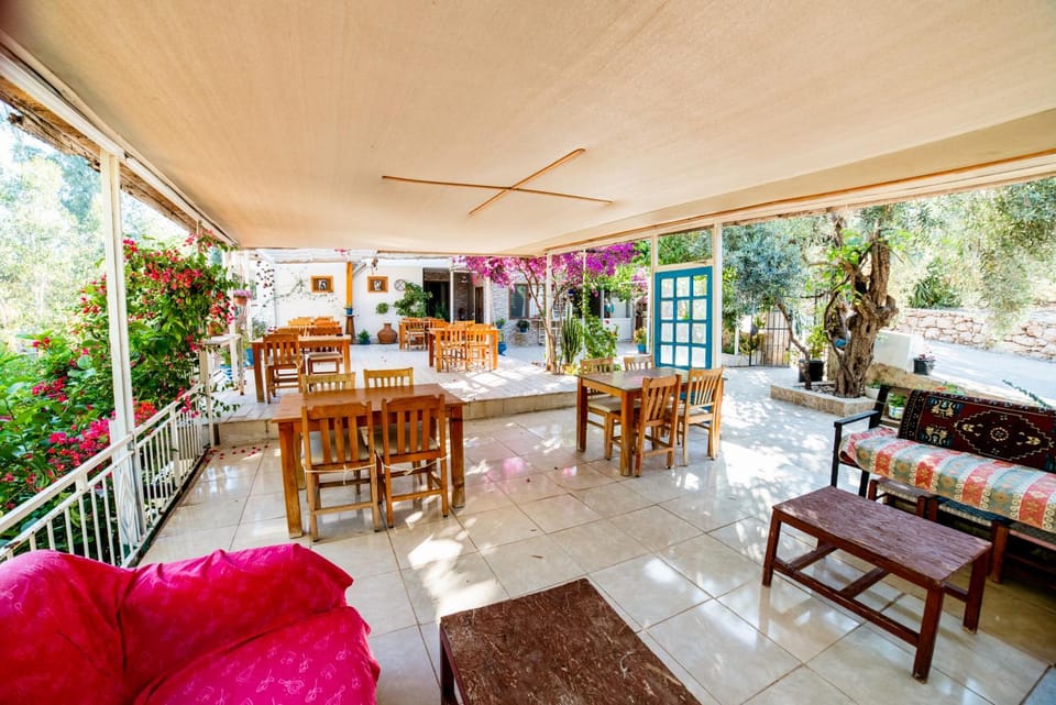 Restaurant/places to eat, Seating area, Dining area