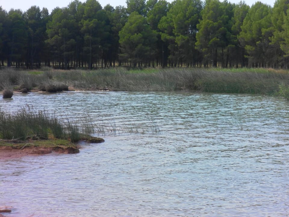 Natural landscape